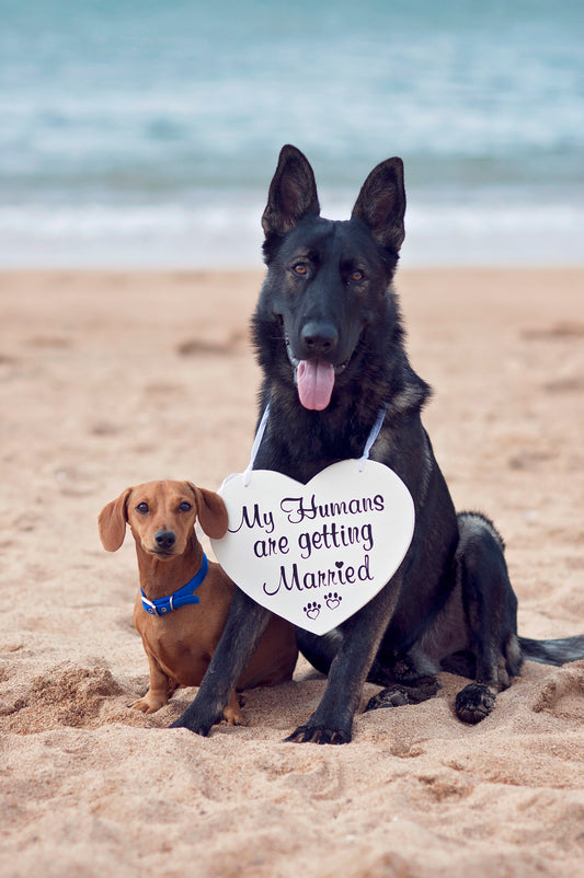 My Humans are Getting Married!  Pet Friendly Heart Sign