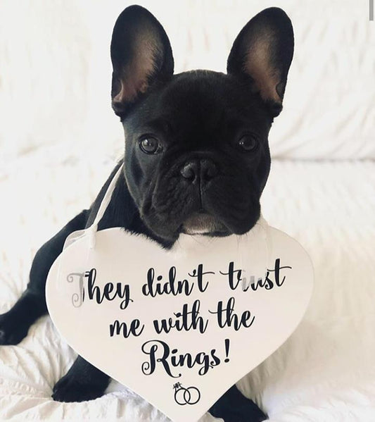 They didn't trust me with the Rings!  Pet Friendly Heart Wedding Sign